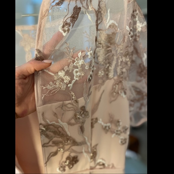 FREE SHIP ADRIANNA PAPELL Embroidered Crepe Satin Gown, Joyful Blush - Picture 7 of 10